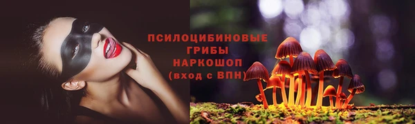 прущий лед Дмитровск