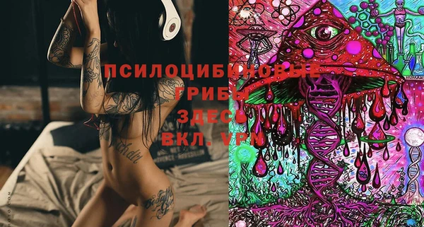 кокс Дмитров