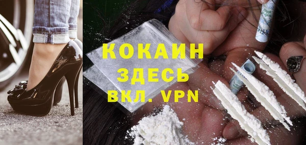 кокс Дмитриев