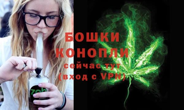 кокс Дмитров