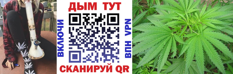 Каннабис MAZAR  Купить  Шумиха 